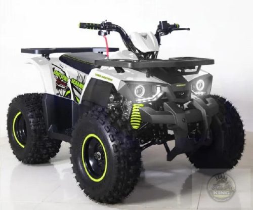 Tao Hunter 125 gyerek quad automata