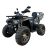 TAO Shark 200 automata felnőtt quad